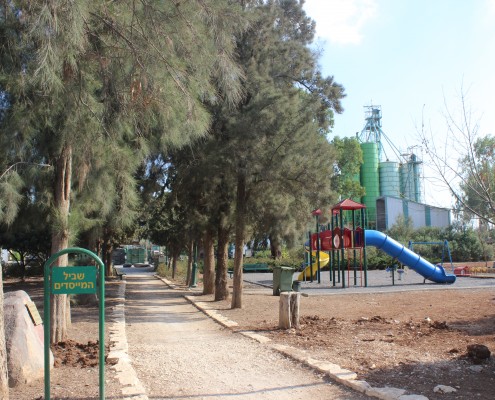 רמת צבי
