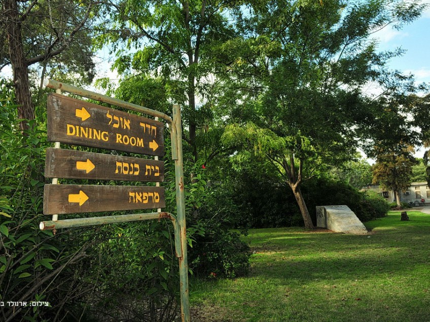 שלוחות