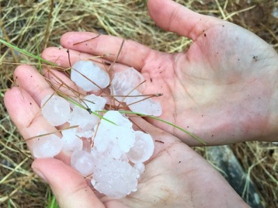 "גשם גשם בא": צפו בחילוץ התלמידים בנחל יצפור שבגלבוע