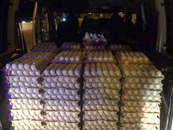 שיטת השקשוקה: מעל 10.000 ביצים מוברחות נתפסו בצומת מגידו