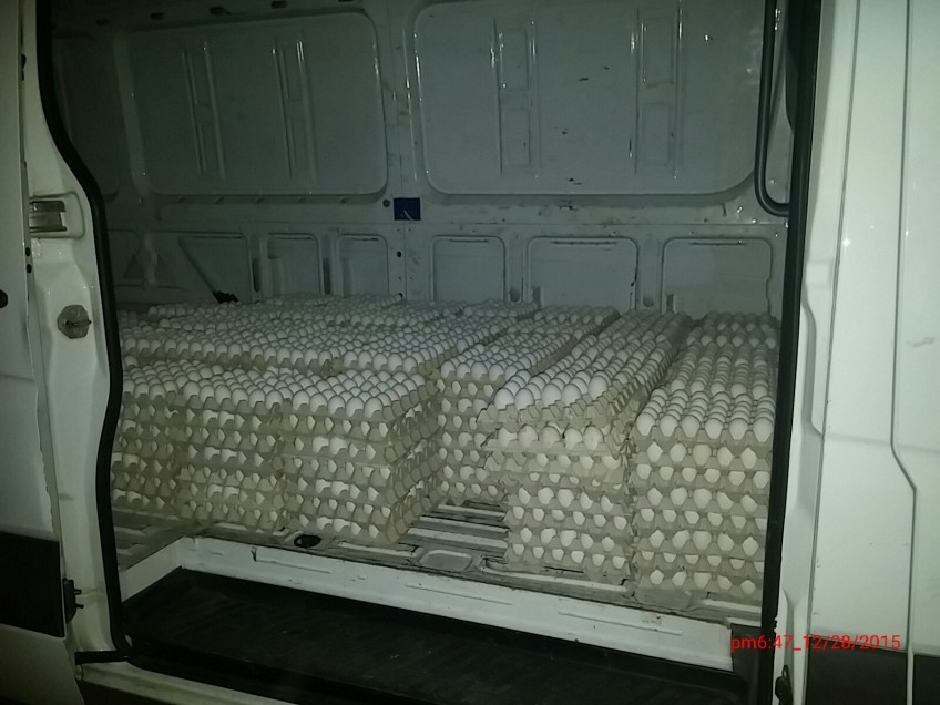 סוכל ניסיון הברחה של עשרות אלפי ביצים ללא פיקוח