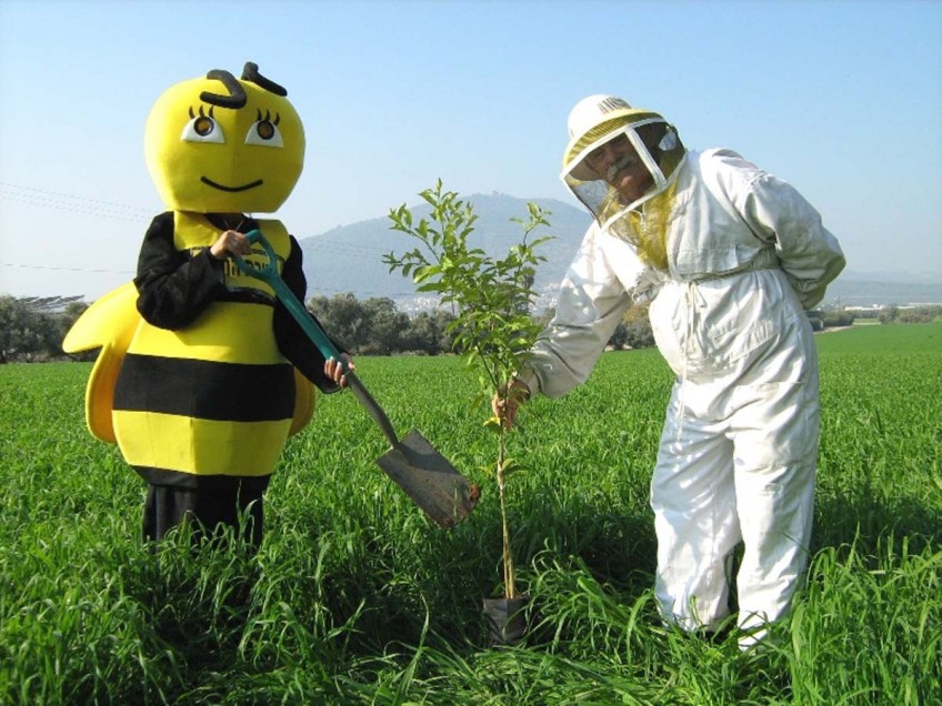 ט"ו בשבט – להצלת הדבורים