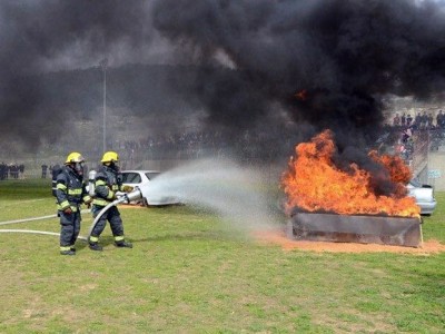 מיוחד: תצוגת כלבי הגישוש של חוקרי השריפות