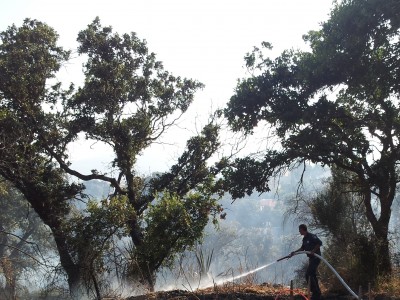 קרית טבעון: יוצא לדרך פרויקט אזורי החיץ ביערות הישוב