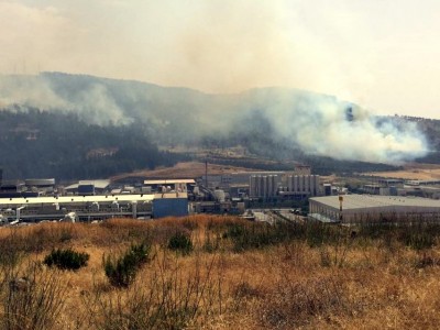 חם אש: שריפות בכפר נין וביער בית קשת