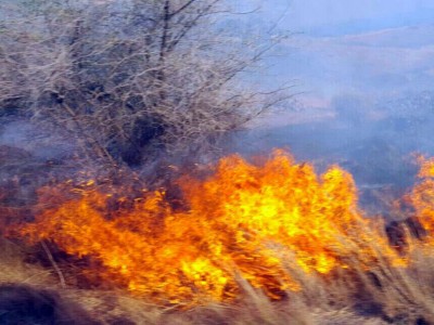 חם חם: שריפת קוצים בהר האושר