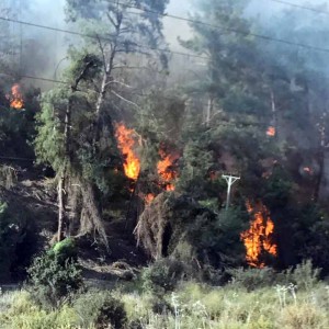 עשרות שריפות באזור העמקים