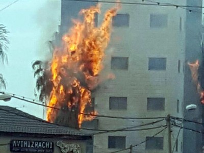 עפולה: דקל שעלה באש סיכן דיירי בניין סמוך