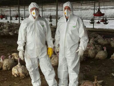 נהלל: מחלת שפעת העופות התפרצה במושב