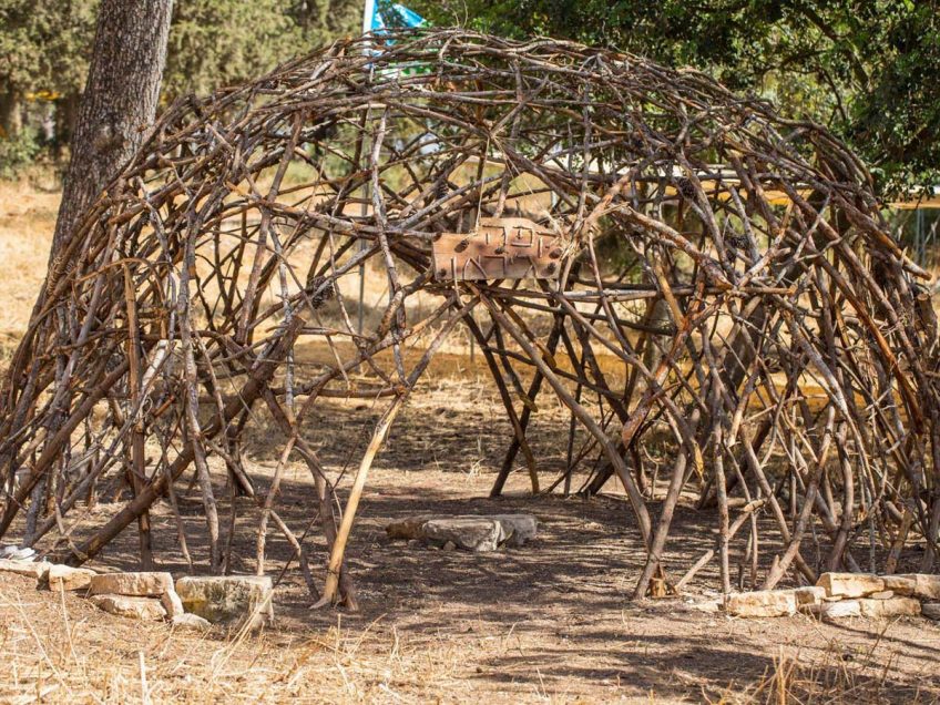 "חיבורים במרחב": מוזיאון יער ומיזם חדש במגידו