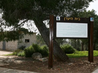 יום העצמאות ה-69: מדינת ישראל חוגגת בפארקים וביערות קק"ל
