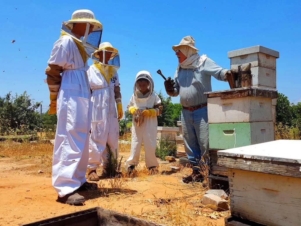 צילום: דבורת התבור ומועצת הדבש