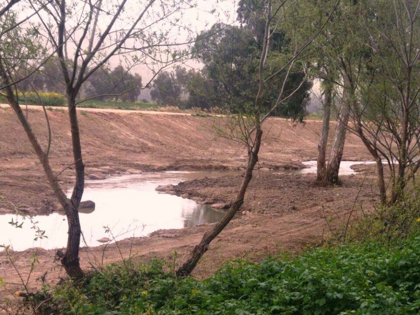 רשות הכינרת: פרויקט חדש לשיקום התעלה המערבית