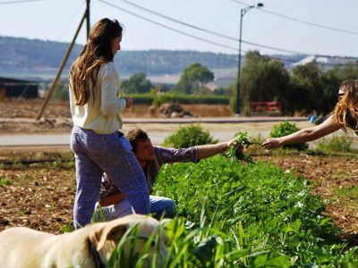חווה חקלאית חדשה בכפר יחזקאל: בית גידול ל"אנשים ולירקות"