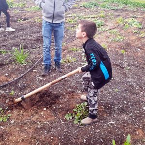 פעילות בגינה הקהילתית לרגל ט"ו בשבט