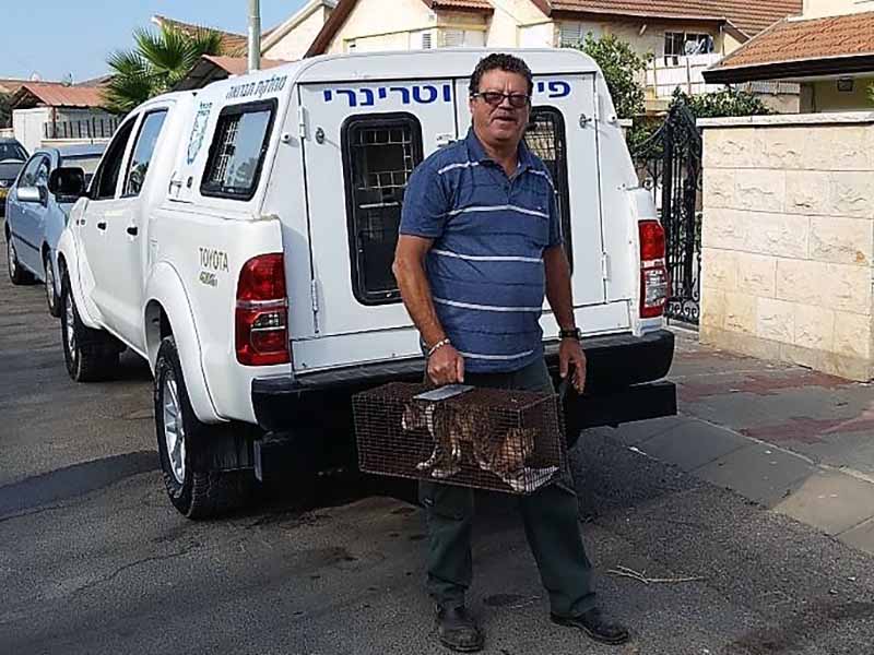 מגדל העמק: מחסנים גם את החתולים נגד כלבת