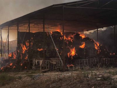 הטרור החקלאי: שלושה תושבי האזור נעצרו בחשד להצתת המתבן של 'כדורי'