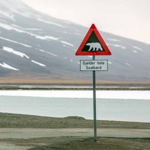תמרור אזהרה על דובי הקוטב