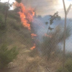 שרפה ביער בסמוך למפעל סולתם ביקנעם
