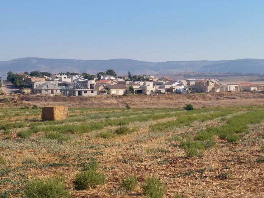 רמת צבי: המושב יכפיל את אוכלסייתו | עמקניוז - חדשות העמק