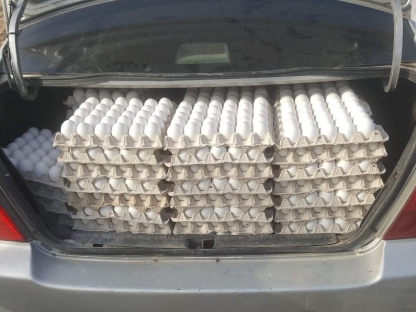 כביש 65: צעיר נתפס עם מעל 4000 ביצים החשודות כמוברחות