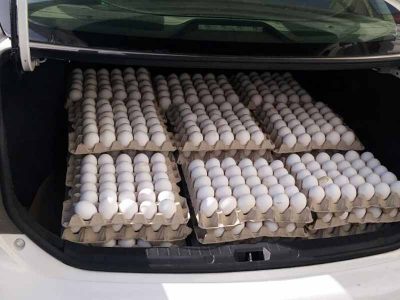 לא לומד! מבריח ביצים סדרתי מהצפון נידון ל-7 חודשי מאסר ולקנס בסך 45,000 שקלים