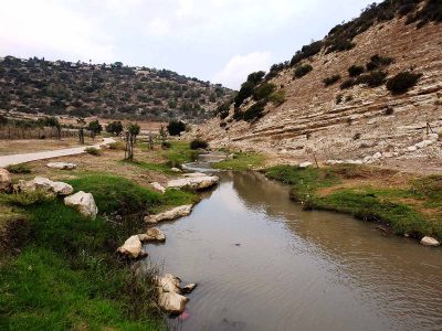 בשבועות: טיולי "חג המים" של החברה להגנת הטבע בעמק המעיינות ובנחל ציפורי בחינם