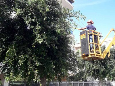 עפולה: עובדי אגף שפ"ע נערכים לחורף  