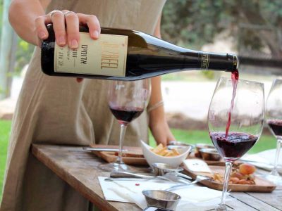 'בשביל היין'- תיירות יין בעמק יזרעאל
