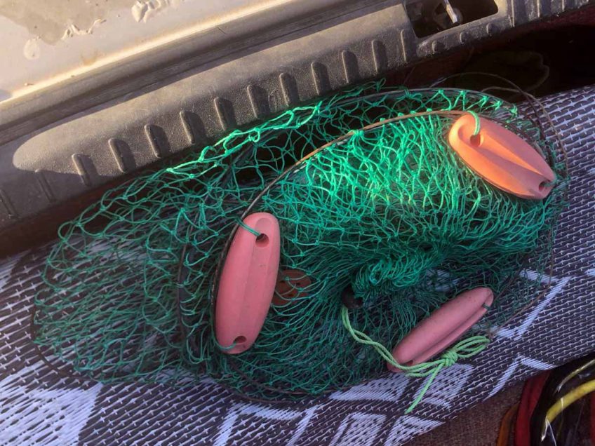 סמוך לנהלל: שוטרי משמר הגבול עצרו חשודים בניסיון גניבת דגים
