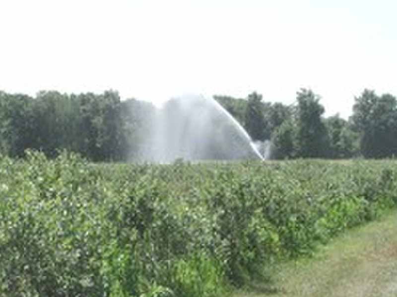 בשורה לחקלאי העמקים: אושרה תכנית שתבטיח את אספקת המים באמצעות חיבור למערכת המים הארצית