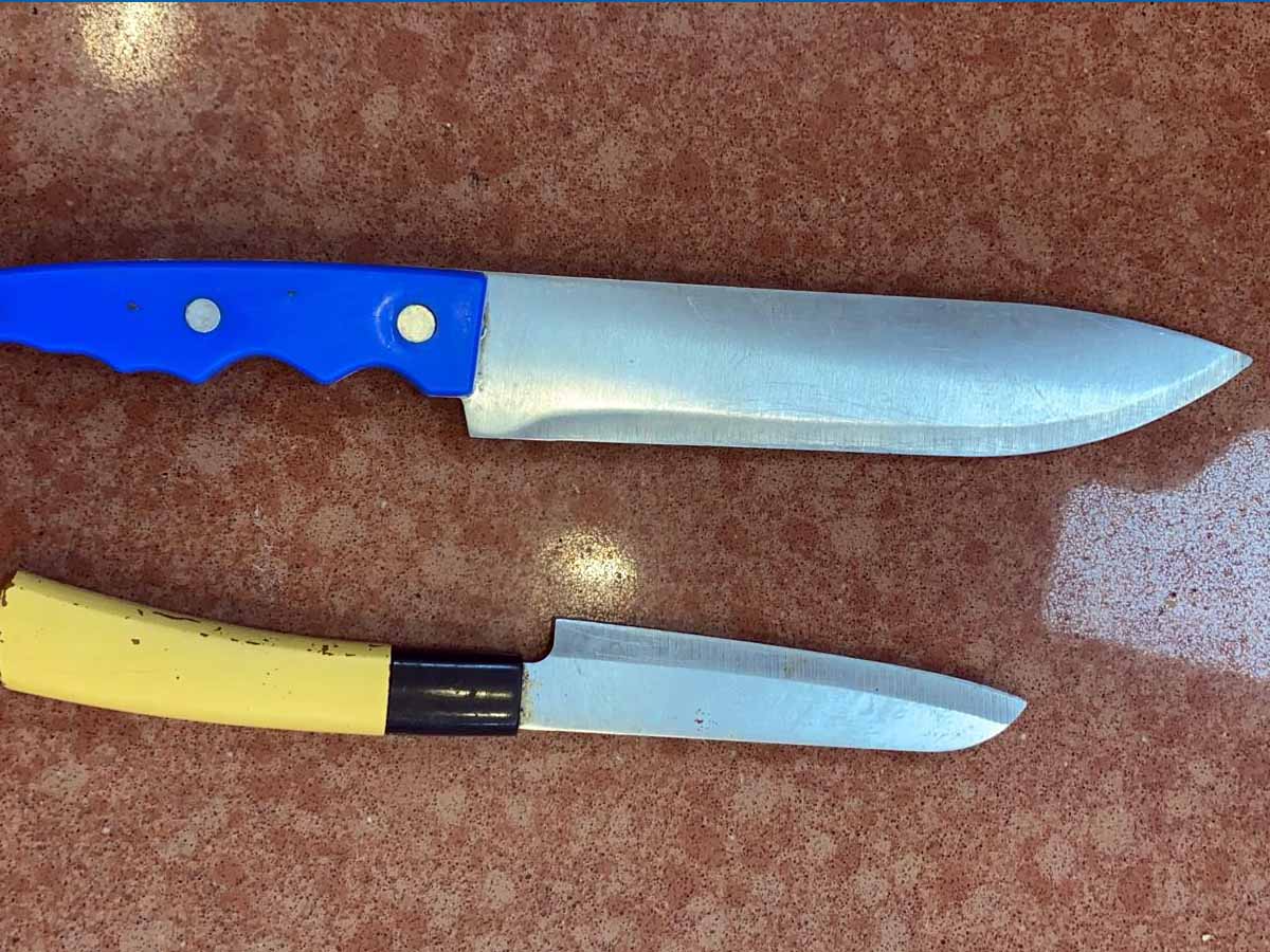הסכינים שהתגלו בכיליהם של המסתננים הירדנים. צילום: דוברות המשטרה