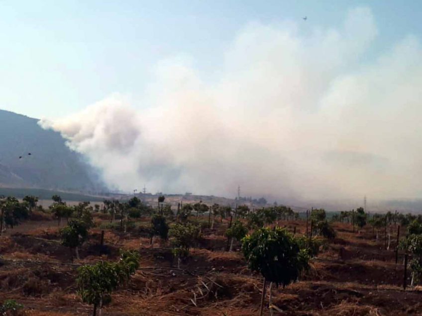 גלבוע: ארבעה מטוסים פועלים לכיבוי שריפה בהר יצפור
