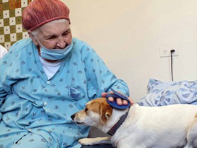 מסקרן: פיילוט לשילוב כלבים במחלקת שיקום       
