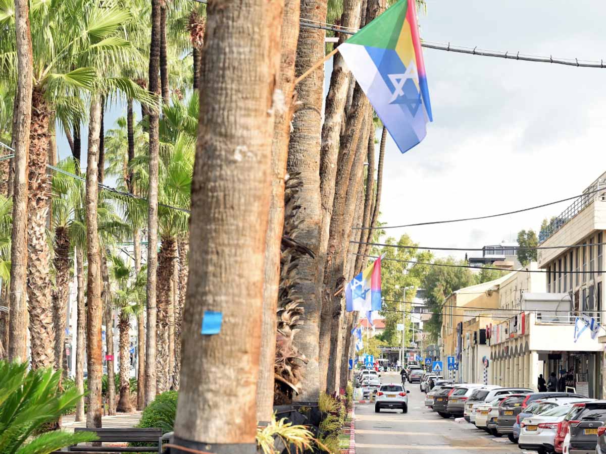 הדגל הדרוזי בשילוב דגל ישראל נתלו לאורך השדרה. צילום: דוברות עיריית עפולה
