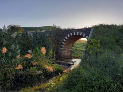 ברוח האביב: סיור מסביב למסילה – לאורכה ולעומקה של רכבת העמק