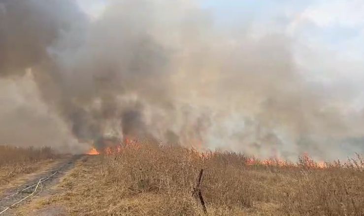 שריפת קוצים גדולה פרצה באזור נחל חרוד