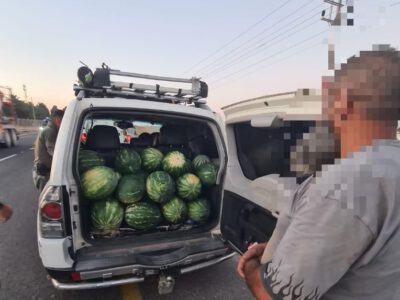 עמק המעיינות: תושב האזור חשוד בגניבת 300 ק״ג אבטיחים