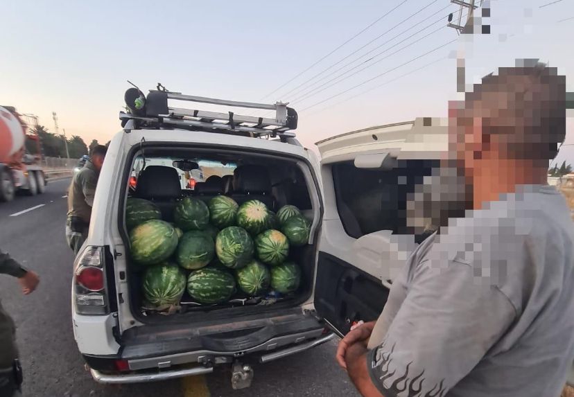 עמק המעיינות: תושב האזור חשוד בגניבת 300 ק״ג אבטיחים