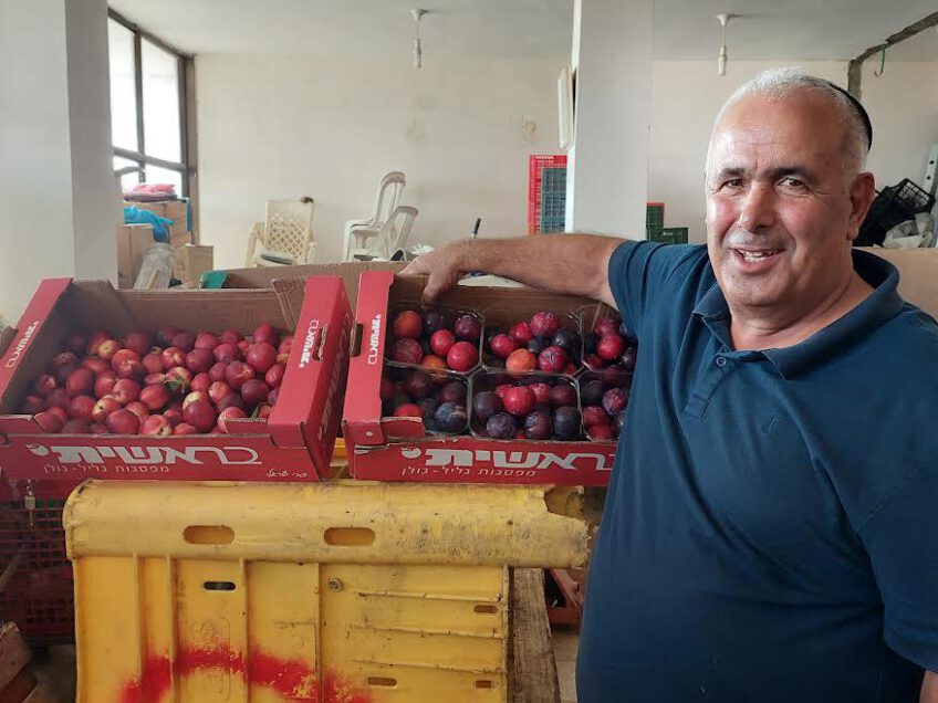 ראויה להערכה: העמותה מעפולה שמחלקת פירות למשפחות מאוכלוסיות מוחלשות