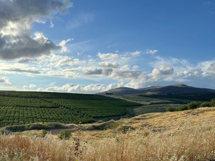 גלבוע: האזעקה שהופעלה במרחב נאעורה מתוחקרת