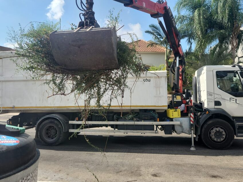מגדל העמק ערוכה לחגי תשרי