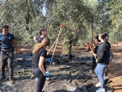 תלמידי ויצו ניר העמק יצאו להתנדבות חקלאית לזכרו של סהר אשואן ז"ל