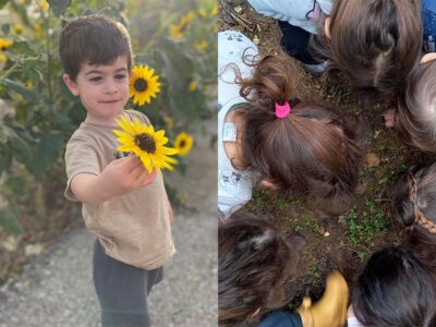 זריעת פרחי הבר הגדולה מגיעה למועצה האזורית עמק יזרעאל