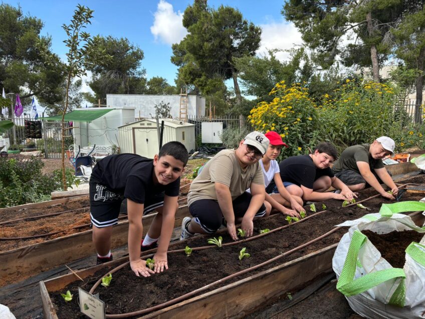 ט"ו בשבט הגיע: התלמידים שלומדים מתמטיקה ואנגלית בעזרת גידול צמחים וטיפול בעצים