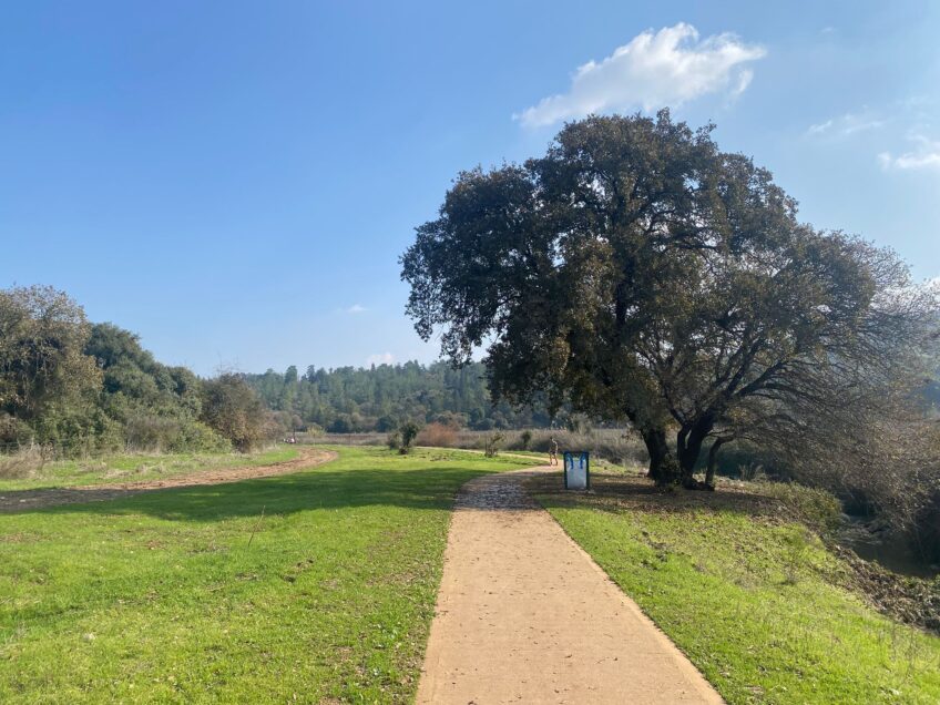 יוֹמְטִיּוֹל בעמק: ככה תגלו את ציפורי