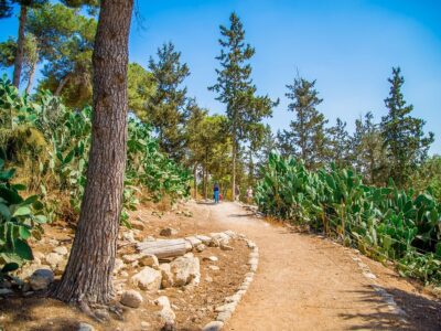אל תפסחו עליהם: האתרים והטיולים שלא תרצו לפספס בחג