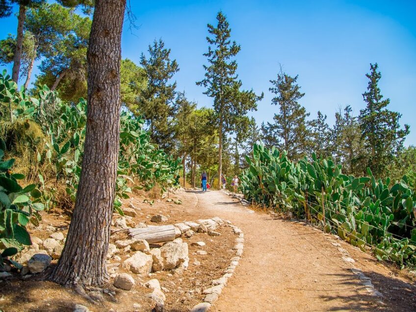 אל תפסחו עליהם: האתרים והטיולים שלא תרצו לפספס בחג