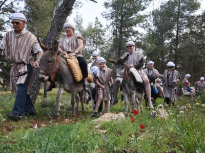 פסח 2025 בעמק: קסם של טבע ירוק, היסטוריה ותרבות