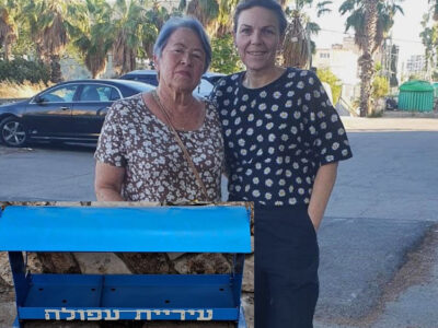 חמש תחנות להאכלת חתולים הותקנו ברחבי עפולה